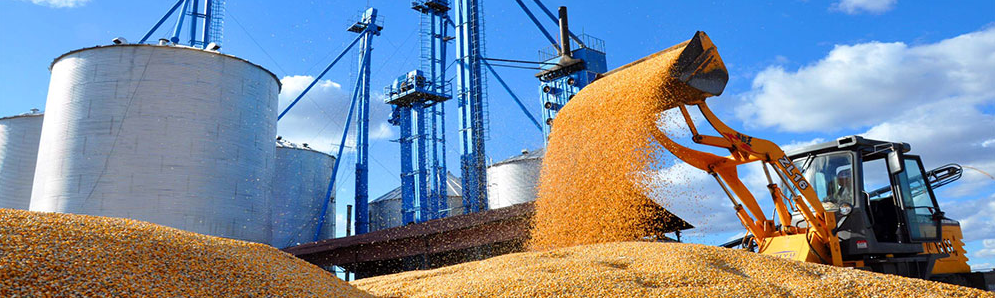 【展商風(fēng)采】北大荒農(nóng)墾集團(tuán)重磅“來襲”深圳綠博會(huì)！