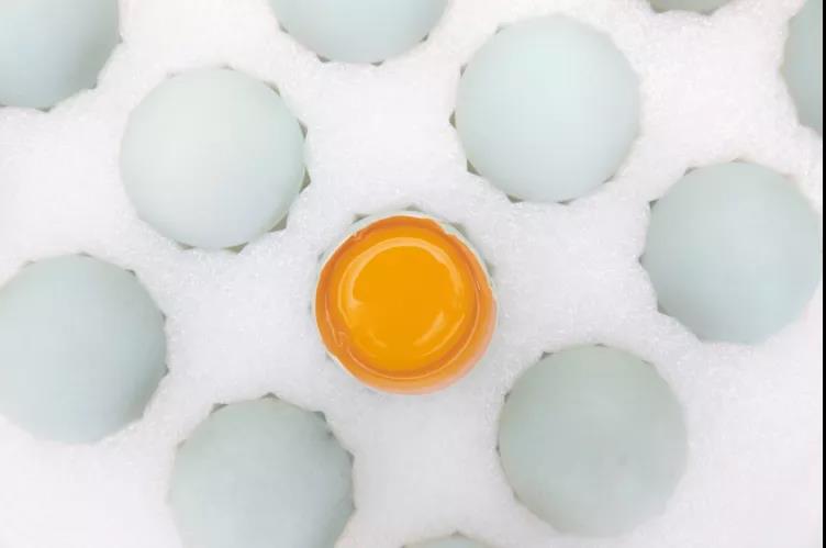 【展商風(fēng)采】林間散養(yǎng)雞蛋，香嫩不噎人，讓你吃出童年的味道！