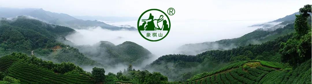 【每周優(yōu)品】原始生態(tài)，自然有機(jī)——象棋山有機(jī)茶