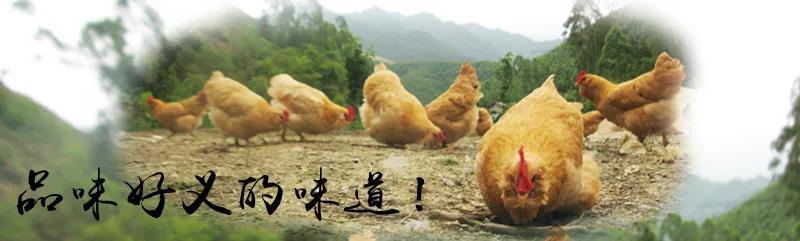 【展商風(fēng)采與回顧】不吃三黃胡須雞，枉入好義鎮(zhèn)”