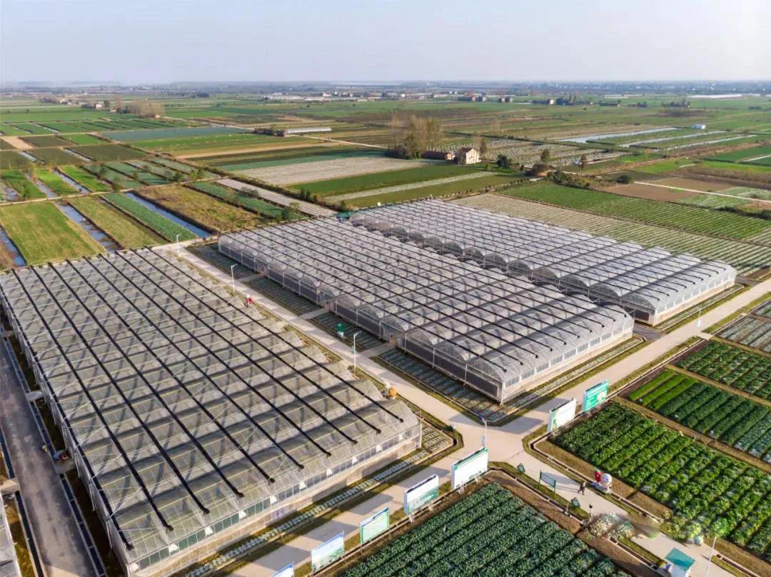 【展商風(fēng)采回顧】“圳品”+中國現(xiàn)代農(nóng)業(yè)領(lǐng)軍人物，德保集團亮相2020年深圳綠博會