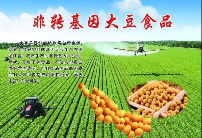 【綠博會動態(tài)】 黑龍江美麗”麻山”已簽約亮相第七屆深圳綠博會，展示不一樣的綠色食品 ！