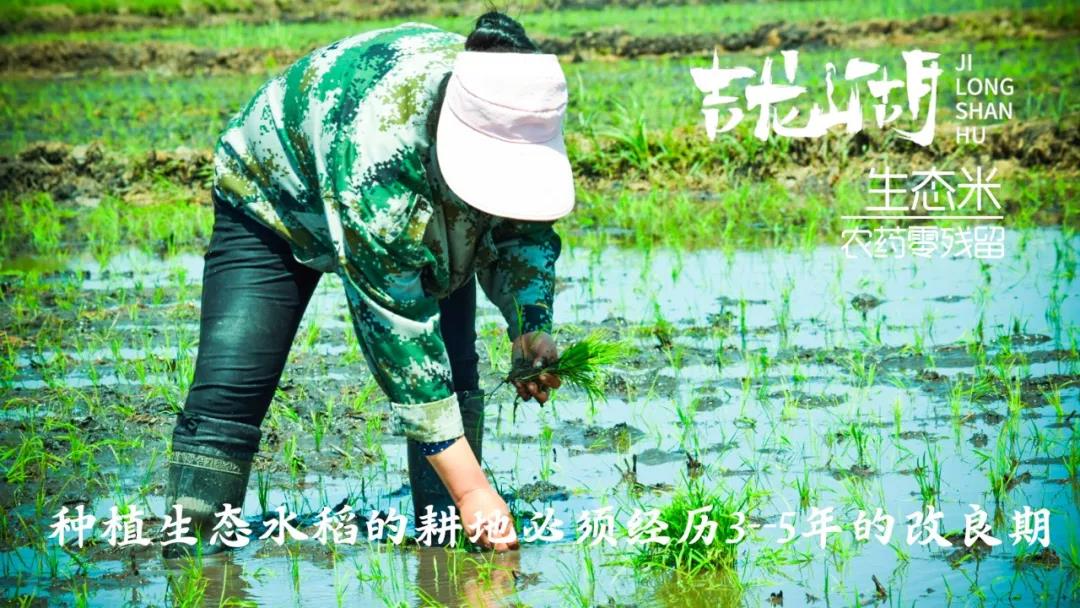 【展商風(fēng)采】第七屆“深圳綠博會(huì)”黑龍江美麗”麻山”展示不一樣的綠色食品 ！