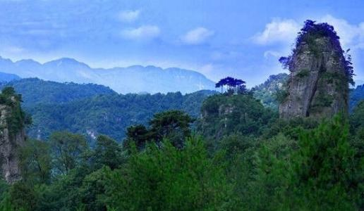 【展商風(fēng)采】來(lái)四川廣元品劍門關(guān)土雞，嘗高山露地好蔬菜巴適得很！