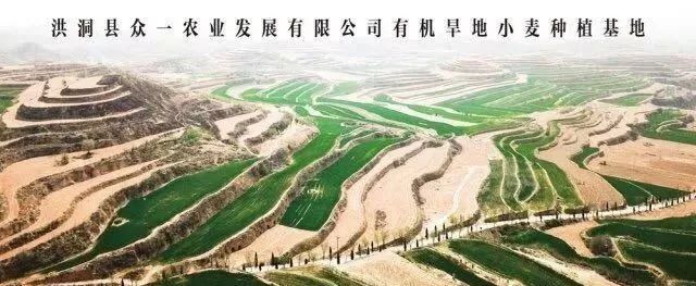 【展商風(fēng)采】健康為天，飲食為先，品質(zhì)出眾，始終如一