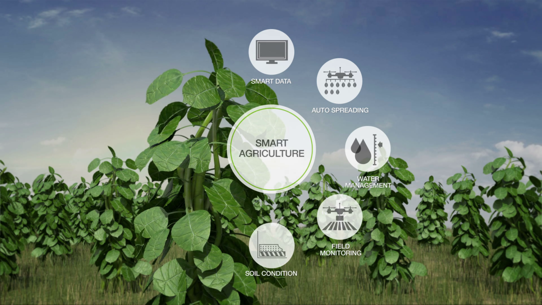 【農(nóng)業(yè)資訊】智慧農(nóng)業(yè)是系統(tǒng)性的，全局性的新生態(tài)